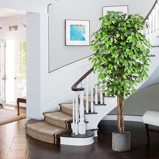 7ft Large Ficus Artificial Trees with Natural Curved Trunks, 84" Tall Lush Faux Tree for Home Decor Indoor, Green Lifelike Fake Ficus Tree Artificial Plants in Pot（Set of 2）