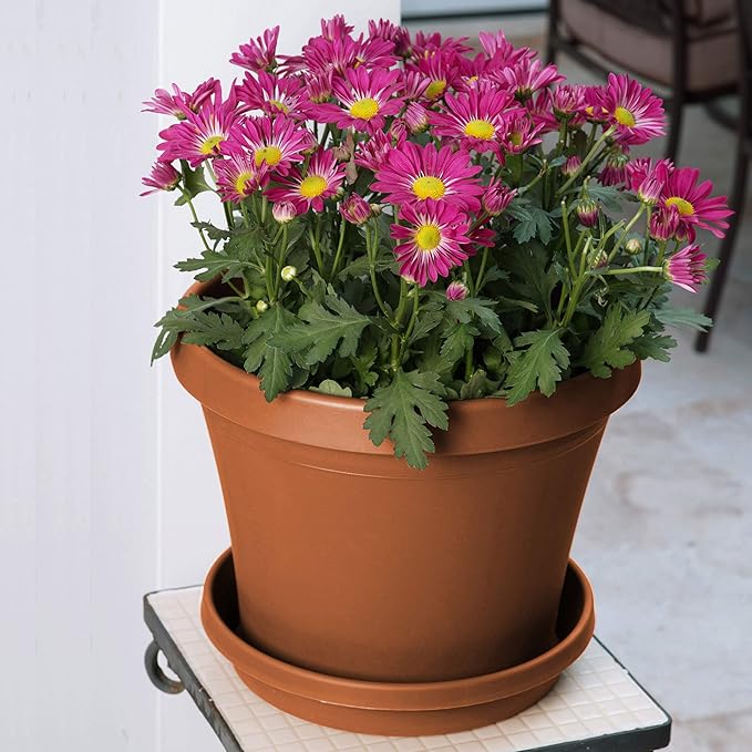 Bloem Terra Resin Saucer Tray: 8" Bottom Width - Matte, Durable, Ribbed Bottom, Indoor and Outdoor, Fits 10" Terra Pots, Terra Cotta