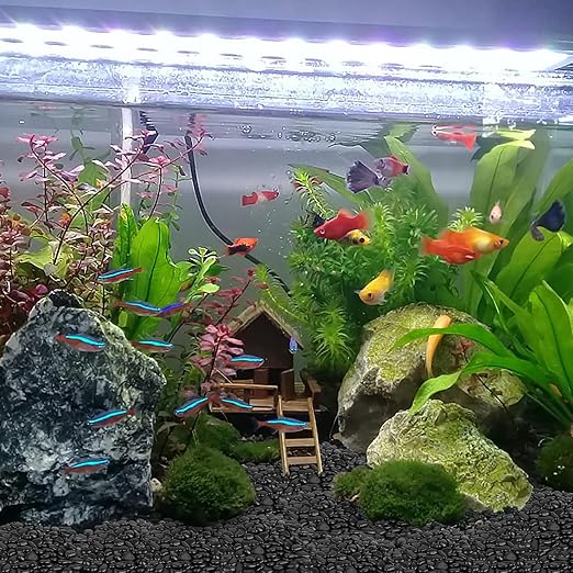 5 lbs Natural Black River Rocks,1-2 Inches Decorative Stones Pebbles for Indoor Plants Decorative Rocks for Potted Plants Small Black Rocks for Indoor Plants,Vases,Aquariums,Terrarium,Fish Tank