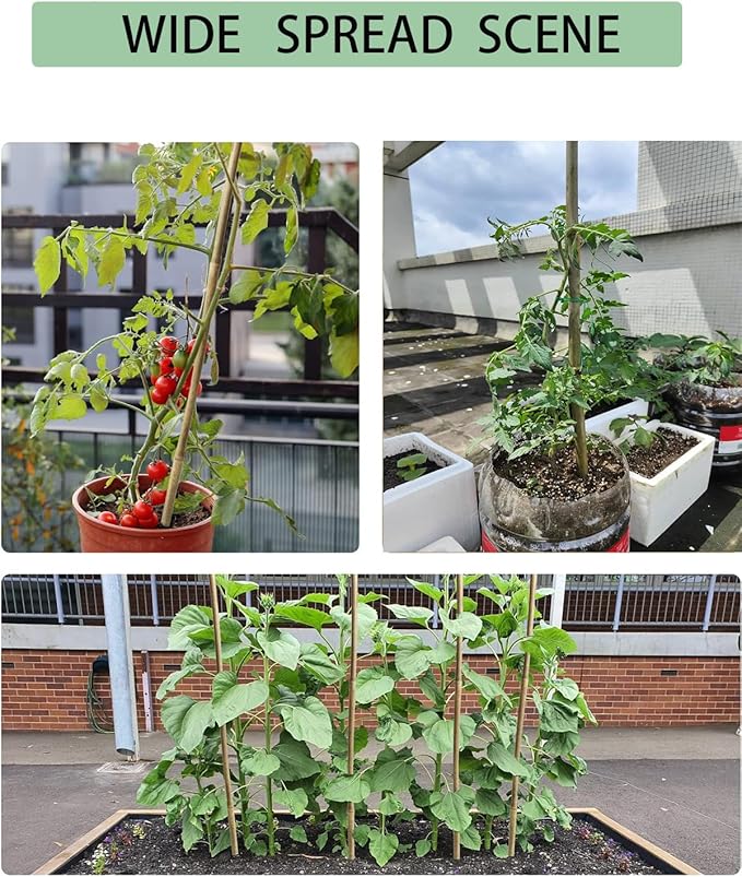 6 Ft Bamboo Stakes with 100 Twist Ties Natural Bamboo Garden Stakes for Tomatoes Cucumber Grapes Pole Beans Trees Potted Dahlia Flowers and Climbing Plants - Pack of 20 Bamboo Sticks