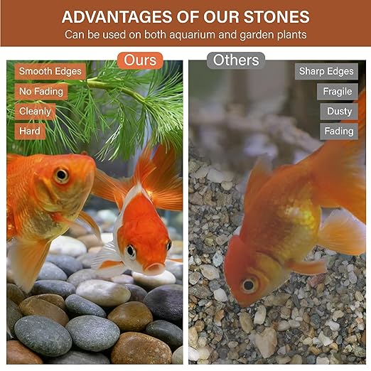 NUPICK 12lb Mexican Beach Pebbles, 2-3" Large River Rocks for Landscaping, Smooth Garden Rocks for Outdoor Paving, Natural Pebbles for Indoor Plants, Decorative Stones for Planters, Fish Tank,Fountain