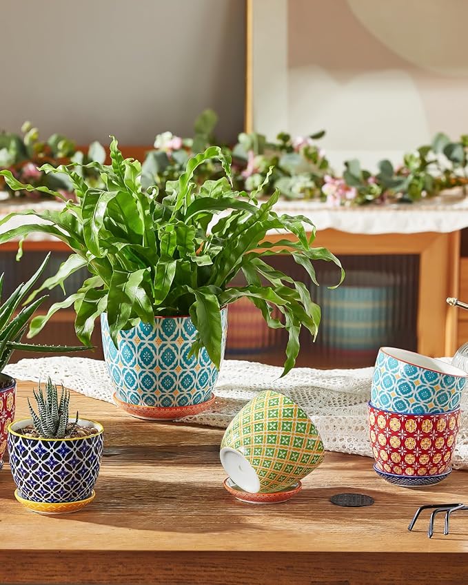 Succulent Ceramic Pots, 3.8 Inch Small Plant Pots with Drainage Hole & Saucer, Flower Planter Pot for Houseplants, Cacti, Home Decor, Set of 4, Vibrant Colors