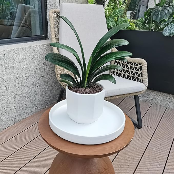 Frosted White Ceramic Pot Saucer - Drainage Tray for Indoor and Outdoor Flower Plant Pots and Planters, 12 Inch