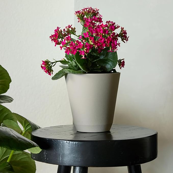 14 Inch Beige Resin Self-Watering Flower Pot - Large Capacity Planter with Automatic Watering System for Indoor Outdoor Plants, Herbs, Succulents, Garden & Home Decor