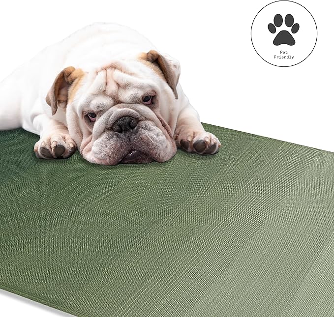 Fab Habitat Ombre Outdoor Rug - Waterproof, Fade Resistant, Crease-Free - Premium Recycled Plastic - Striped - Patio, Porch, Deck, Balcony - Big Sur - Green - 5 x 8 ft