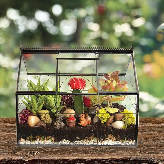 D'Eco Glass Greenhouse Centerpiece (10x4.5x9) - Valentine's Day Home Decor - Tabletop Geometric Planter Terrarium - Fill with Succulents, Moss, Roses, Chocolates - Valentines Gift for Plant Lovers
