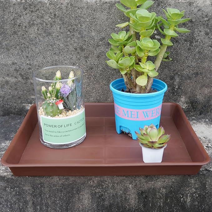 Rectangle Plant Tray, Plant Drip Tray, Plant Pot Saucers, Plant Germination Trays, Plant Saucers, 11'' x 9'' x 1.2'' (2 pack), Chocolate