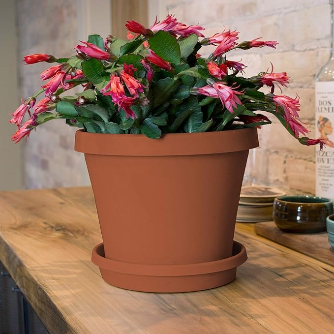 Bloem Terra Resin Saucer Tray: 8" Bottom Width - Matte, Durable, Ribbed Bottom, Indoor and Outdoor, Fits 10" Terra Pots, Terra Cotta