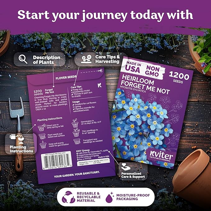 KVITER 1200 Forget Me Not (Myosotis sylvatica) Seeds – Charming Blue Spring Flowers for Shady Gardens – Easy to Grow, Ground Cover Use, Perfect for Borders and Containers