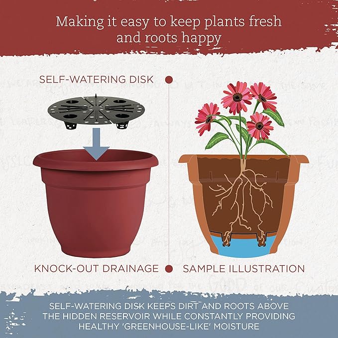 Bloem Ariana 10" Burnt Red Round Self-Watering Resin Planter Pot - Rolled Rim Indoor and Outdoor Gardening Planter