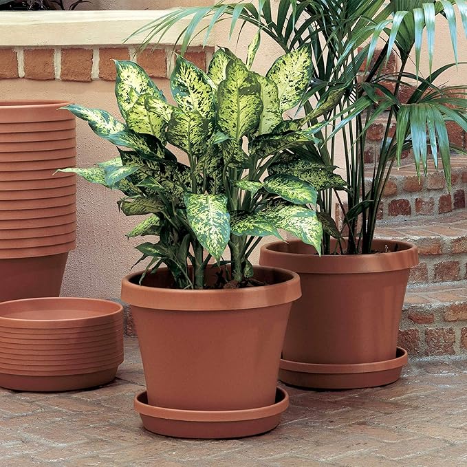 Bloem Terra Resin Saucer Tray: 8" Bottom Width - Matte, Durable, Ribbed Bottom, Indoor and Outdoor, Fits 10" Terra Pots, Terra Cotta