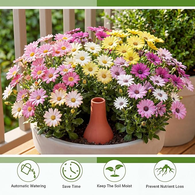 4 Pcs Self-Watering Ollas Terracotta Watering Pots with Lid, 12oz 20oz 33oz Terra Cotta Clay Plant Automatic Plant Irrigation Devices Clay Garden Olla Pots Plants Waterers 3 Size