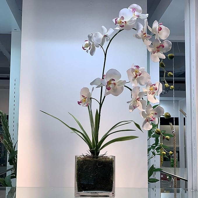 WGV Cube Glass Vase, Candle Holder, 7"x7"x7", Clear Elegant Floral Accent Container Planter Terrarium Storage for Wedding Party Ceremony Event Office Home Decor, 1 Piece