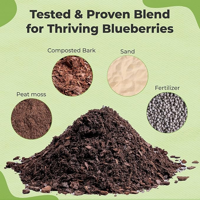 Specialty Blueberry Potting Mix by Perfect Plants | Organic Premium Mix | Use with Blueberry's, Raspberry, or Other Fruit Shrubs (4qt)