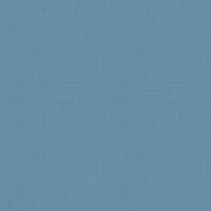 Arden 4-Pack Outdoor Patio Dining Chair Cushion, 20x44, Rain-Proof Seat Pad, Fade-Resistant Outdoor Cushion French Blue Texture