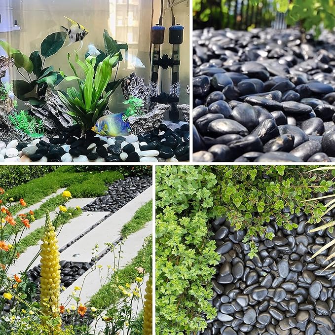 5lbs Large Pebbles for Indoor Plants, 2-3 Inch Natural Black River Rocks for Aquarium, High Polished Decorative Stones for Vase Filler Fish Tank Landscaping Garden