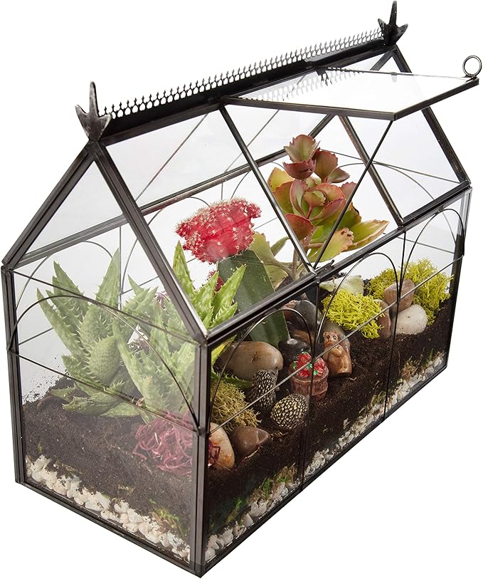 D'Eco Glass Greenhouse Centerpiece (10x4.5x9) - Valentine's Day Home Decor - Tabletop Geometric Planter Terrarium - Fill with Succulents, Moss, Roses, Chocolates - Valentines Gift for Plant Lovers