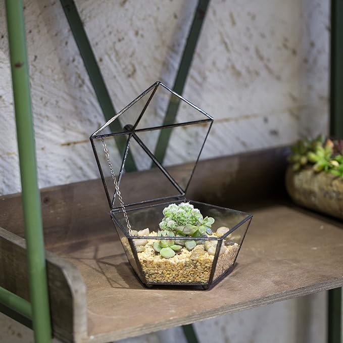 NCYP Small Glass Geometric Terrarium, Closed Jewel-Boxed Shape Container, Plant Succulent Planter, Indoor Outdoor Garden Decor Flower Pot Handmade (Terrarium Only)