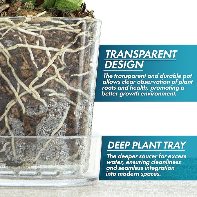Phoenix Vine 3.5 Inch Clear Acrylic Planter Pot with Tray, Orchid Pot with Drainage Holes, Deep Saucer for Bottom Watering, Transparent Containers for Indoor Plants, Herbs, Set of 6, 91-A-D-6