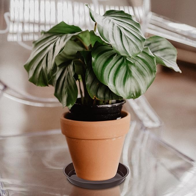 6 Pack of 12 inch Plant Saucer, Plastic Plant Saucer 12" Round, Plant Saucers for Indoors, Plant Water Tray, Plant Trays for Pots, Planter Tray, Plant Saucers for Planter 11-13" (12", Brown)