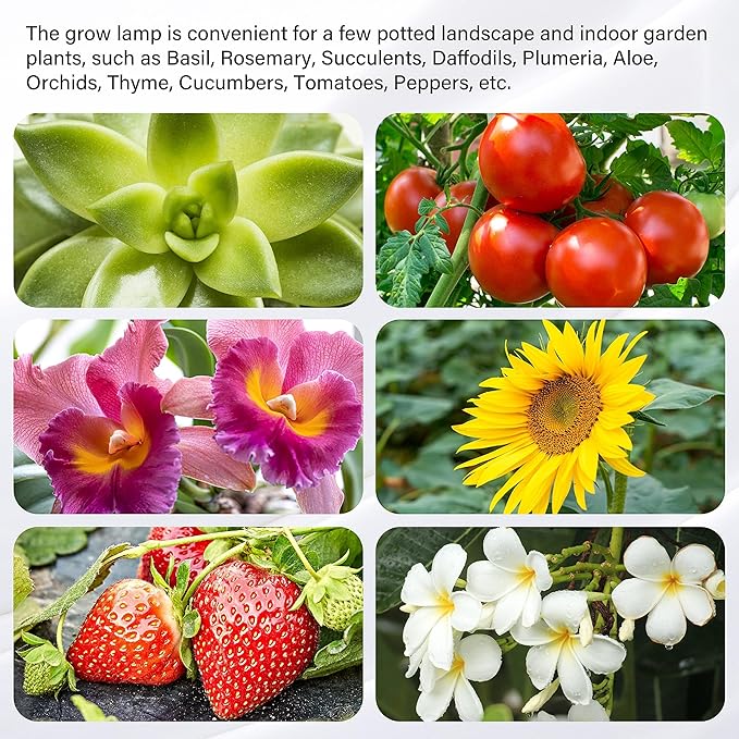 iPower 2Pack 60W LED Grow Lights with Full Spectrum Plant Growing Light Strips for Indoor Plant with Auto ON/Off 3/9/12H Timer, 10 Dimmable Levels 48 LEDs Per Tude, 4 Tubes, Red&Blue