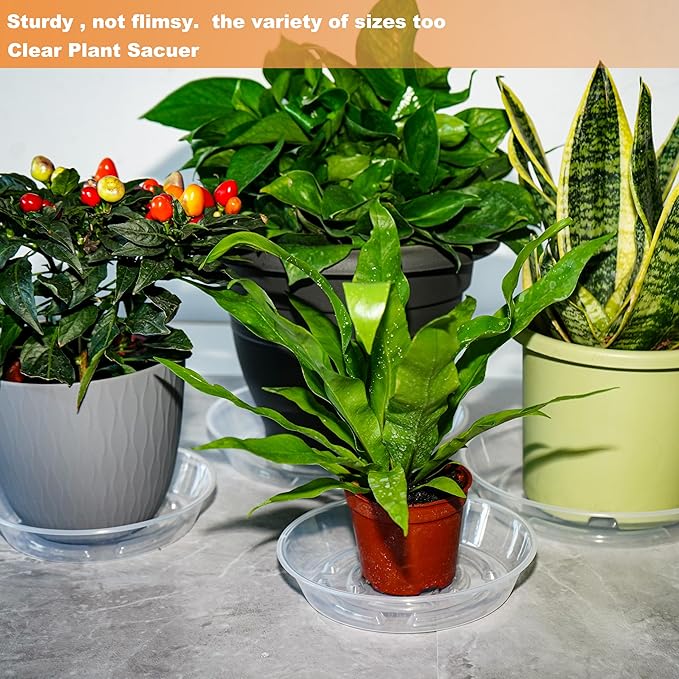 10 Packs Plant Saucer Pot Tray, 6 8 10 inch Clear Flower Planter Saucers and Drip Trays, Plastic Flower Planter Saucers for Indoors Outdoors, Heavy Durable Plant Plate Water Catcher