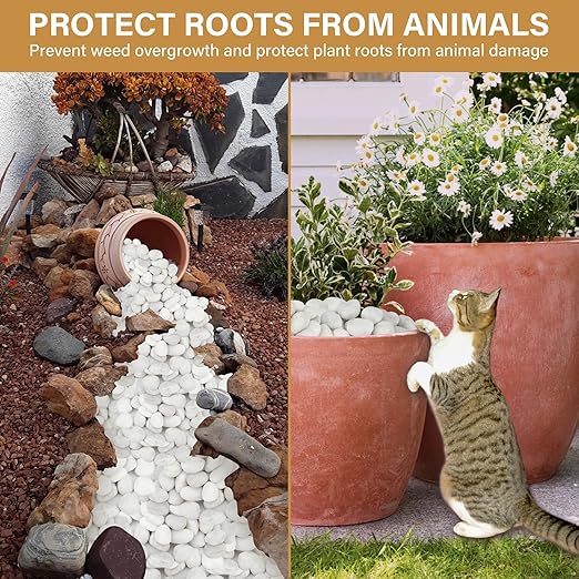 NUPICK 16lb White River Rocks for Outdoor Landscaping, 1-2 Inch Pebbles for Indoor Plants, Natural Polished Aquarium Gravel, Decorative Rocks for Succulent, Garden, Vases Fillers, Bird Baths