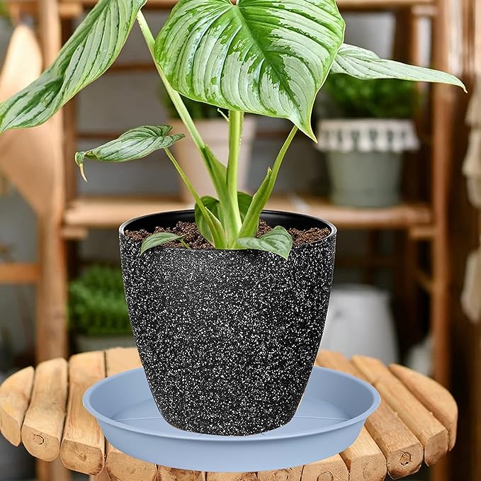 6 Pack of Plant Saucer Tray 4 6 8 10 12 14 17 19 22 25 inch, Heavy Duty Plastic Pot Plant Drip Trays Saucers for for Indoors Outdoor, Plant Water Tray for Planters 4-7" (6", Light Gray)