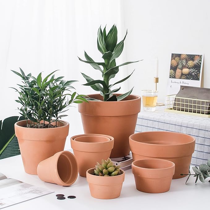 OLEEP Clay Pots - 10 Pack (5.5 inch) Large Terra Cotta Plant Pot with Drainage Hole,Garden Pots, Clay Planters Pot, Terracotta Pot for Indoor Outdoor Plant
