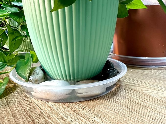 Clear Plant Saucer 6 Pack 8 inch, Heavy Duty Round Plastic Plant Tray Saucers for Indoors Outdoors Garden, Flower Planter Water Drip Trays for Pot, Plant Dishes Saucer (8", Clear)