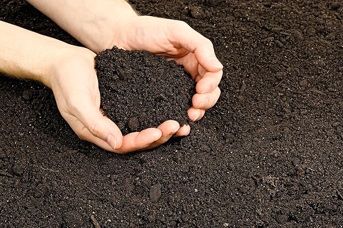 Fort Vee Organic Potting Mix | High-Nutrient Compost-Based Soil for Indoor & Outdoor Container Seed Starting, Plants & Vegetable Gardening | 20 Quarts