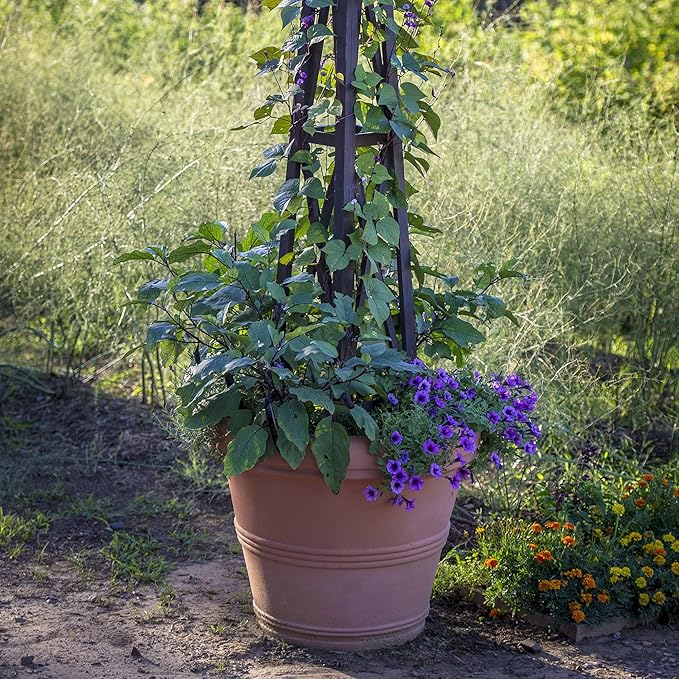 Crescent Garden Brunello Planter, Classic Rolled-Rim Plant Pot, Indoor/Outdoor Weather-Safe Pot, Plastic, 20-Inch (Terracotta-Color)