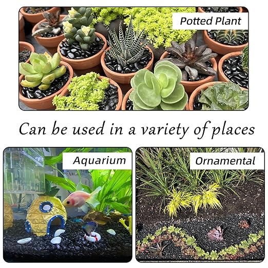 18lb 1/4" Small Pebbles Black for Plants,Potting,Succulents Aquarium Fish Tank Vases Decorative Garden Polished Gravel Rocks Stones