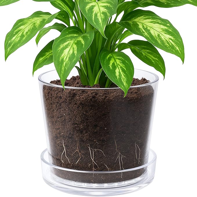 Phoenix Vine 10 Inch Clear Acrylic Planter Pot with Tray, Orchid Pot with Drainage Holes, Deep Saucer for Bottom Watering, Transparent Containers for Indoor Plants, Herbs, Set of 1, 91-A-H-1