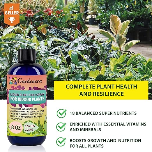 Premium Plant Growth Superfood for All Plants with 18 Essential Vitamins & Minerals - Organic Plant Food Fertilizer - Micro-Fungi and Bio-Organisms for All-Purpose Care - 8 OZ