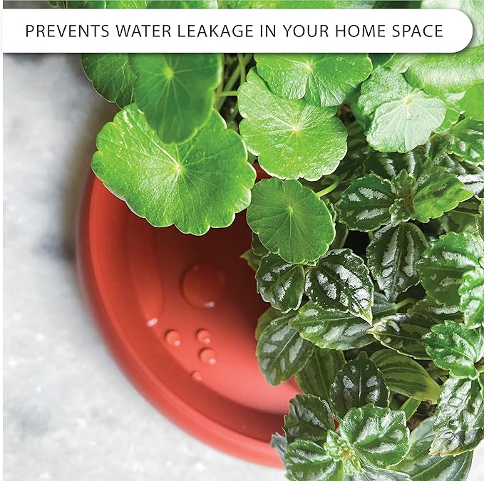 Plant Saucer 6 Pack Drip Trays Planter Pot Base Heavy Duty Plastic Drainage Tray for Indoor Houseplants Outdoor Garden 5 inch 8 inch 11 inch 3 Sizes 2 Each Round (Terracotta)