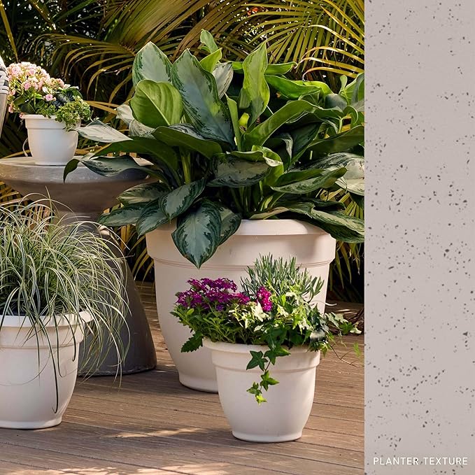 Bloem Ariana 8" Vanilla Bean Round Self-Watering Resin Planter Pot - Rolled Rim Indoor and Outdoor Gardening Planter
