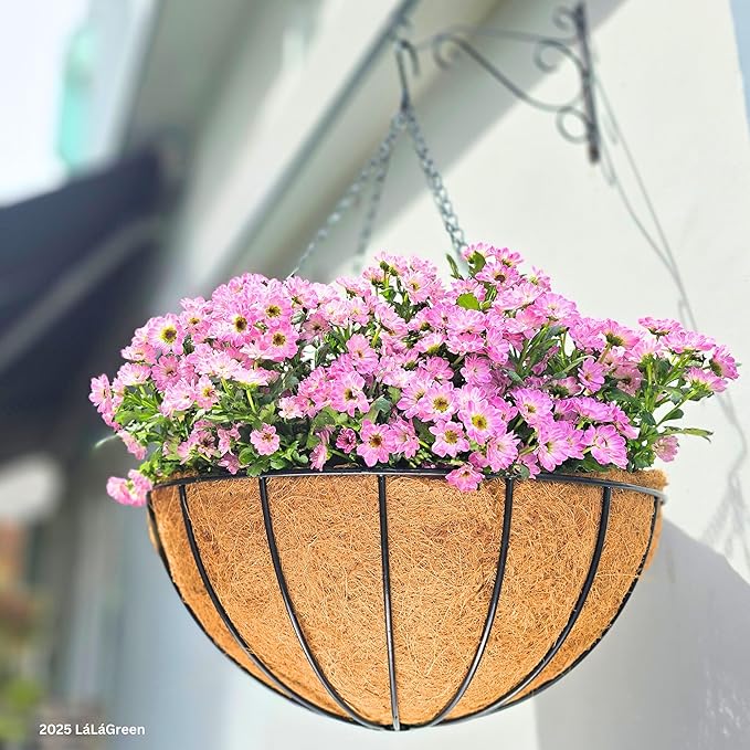 LaLaGreen Hanging Baskets for Plant Outdoor (20 Inch, 4 Pack) Extra Large Black Metal Wire Hanging Planter with Coco Liner Round Flower Pot Holder Hanger Deck Porch Modern Garden Balcony Country Decor