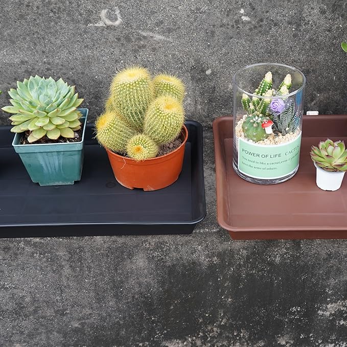 Plant Saucer Growing Tray, Seed Starter Tray Rectangular, Heavy Sturdy Plastic Plant Drainage Saucers, Plant Drip Trays for Pots, Seed Starter Growing Trays (11 x 9 inch, 6 Pack)