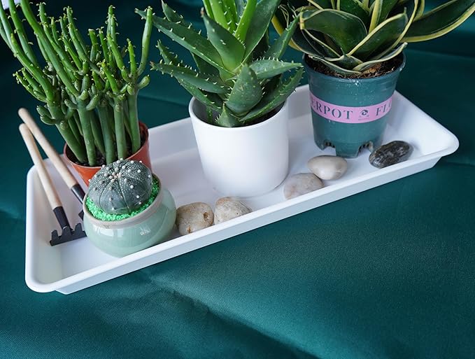 6 Pack Plastic Plant Tray Saucer, Rectangular, Indoors Outdoor, Water Drip Tray for Flower Pot, Windowsill (6.5 x 13 Inch, Cream White)