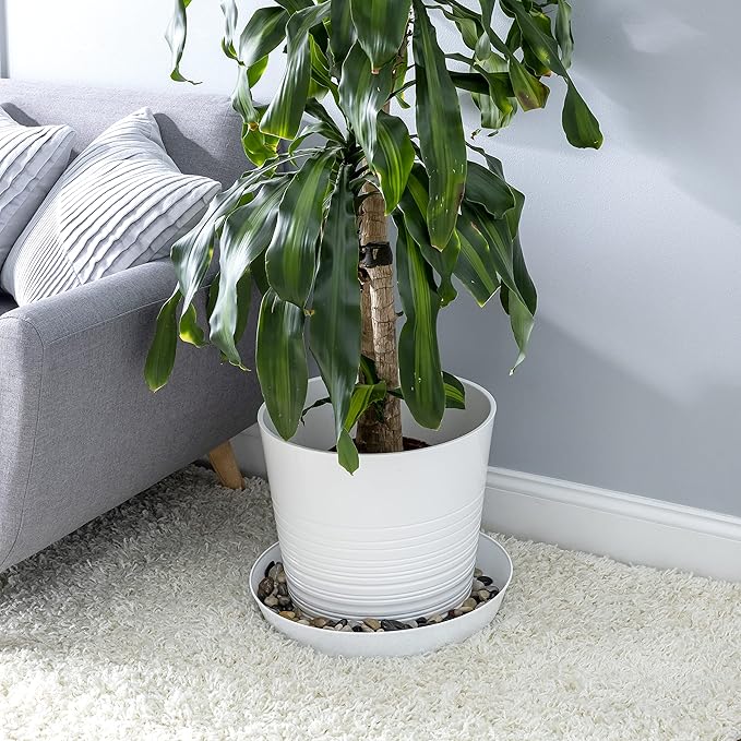 Saucer White Granite Colored Polypropylene for Indoor and Outdoor Plant use, Made in USA, Flower Pot drip pan, Drainage Saucer, Household Plants (AS7G), 7'' (5.5'' Base)
