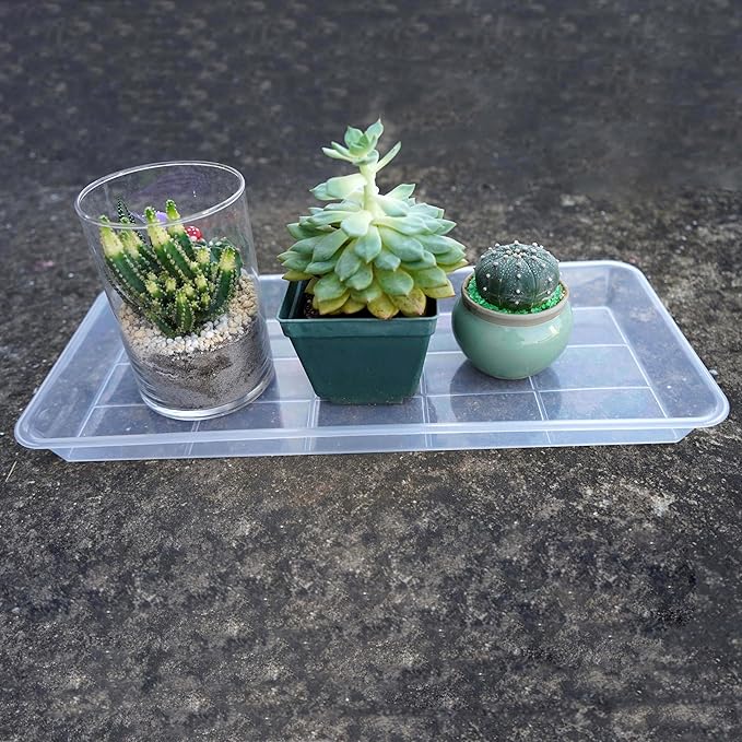 2 Pack Plastic Plant Saucer, Rectangular, Indoors Outdoor, Water Drip Tray for Flower Pot, Windowsill (5.5 x 10 Inch, Clear)