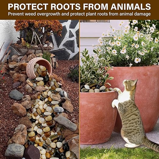 NUPICK 12lb River Rocks for Plants Indoor, 2-3Inch Mixed Pebbles for Vases Fillers, Decorative Gravel for Fish Tank, Natural Polished Stones for Succulent, Bonsai, Landscaping, Bird Baths
