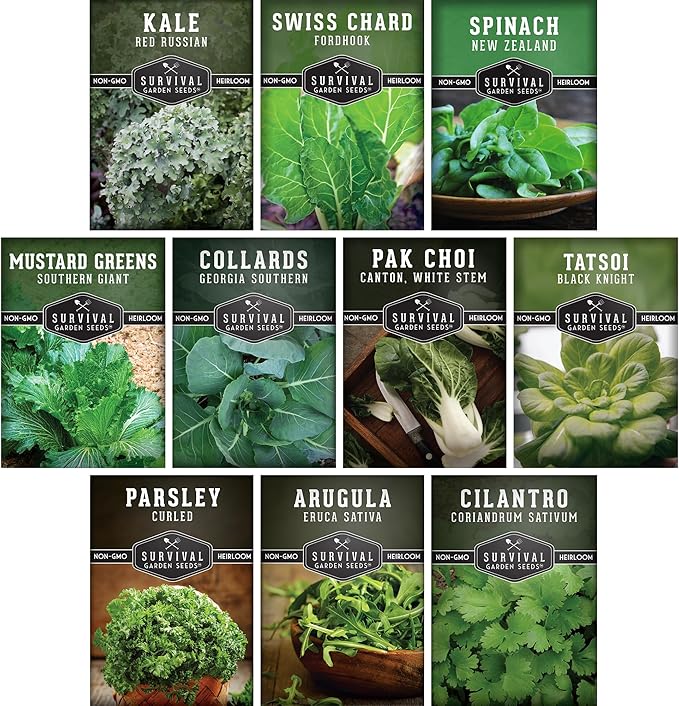 10 Power Greens Seed Collection – Heirloom Collards, Mustard, Swiss Chard, Spinach, Kale, Tatsoi, Pak Choi & More for Fall & Spring Planting | Survival Garden Seeds