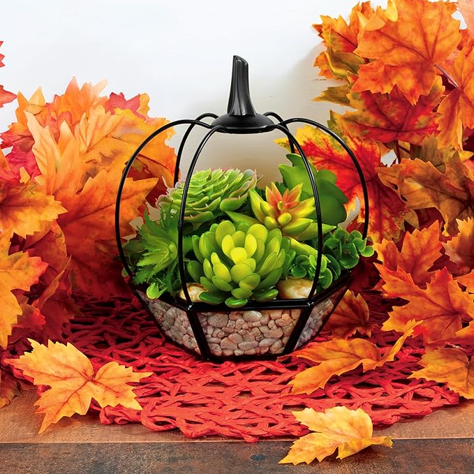 Thanksgiving Table Centerpiece - Pumpkin Glass Terrarium (7x7x8)- Rustic Fall Tabletop Decor - Artificial Pumpkin for Home, Kitchen, Office Decorations- Autumn Plant Garden Display- Black Trim Planter