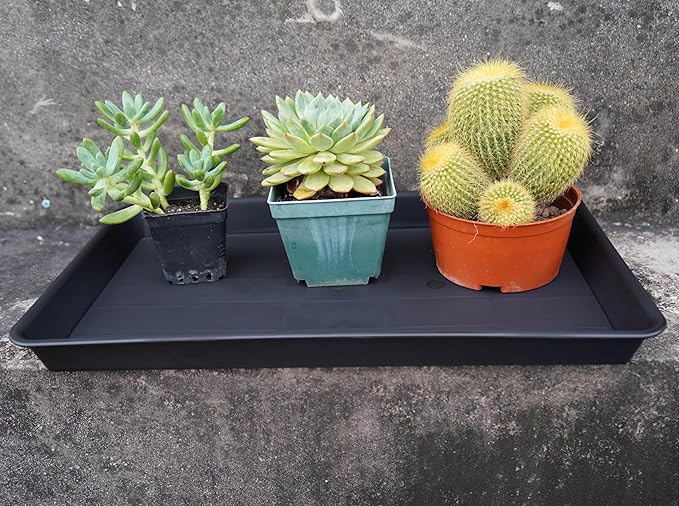 Plant Saucer Growing Tray, Seed Starter Tray Rectangular, Heavy Sturdy Plastic Plant Drainage Saucers, Plant Drip Trays for Pots, Seed Starter Growing Trays (11 x 9 inch, 6 Pack)