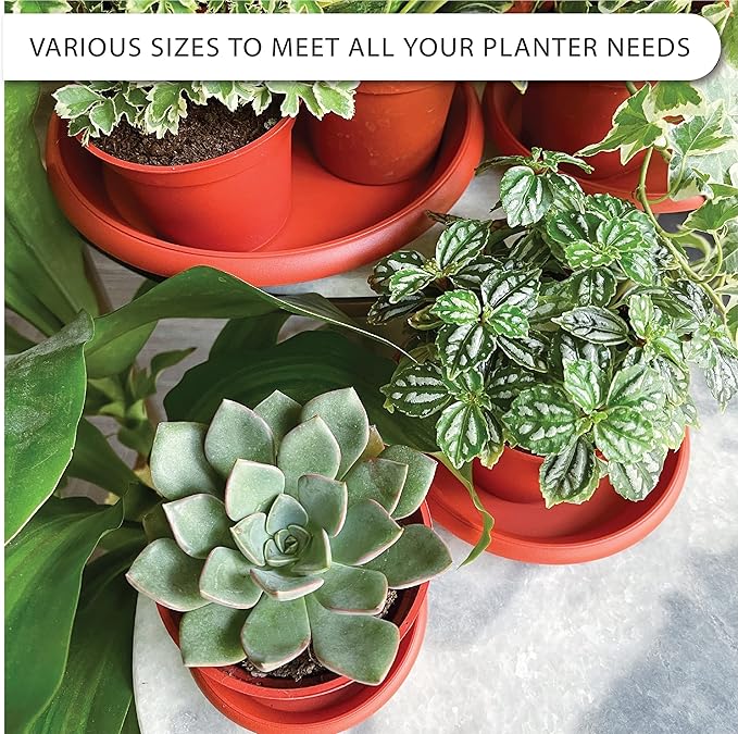 Plant Saucer 6 Pack Drip Trays Planter Pot Base Heavy Duty Plastic Drainage Tray for Indoor Houseplants Outdoor Garden 5 inch 8 inch 11 inch 3 Sizes 2 Each Round (Terracotta)