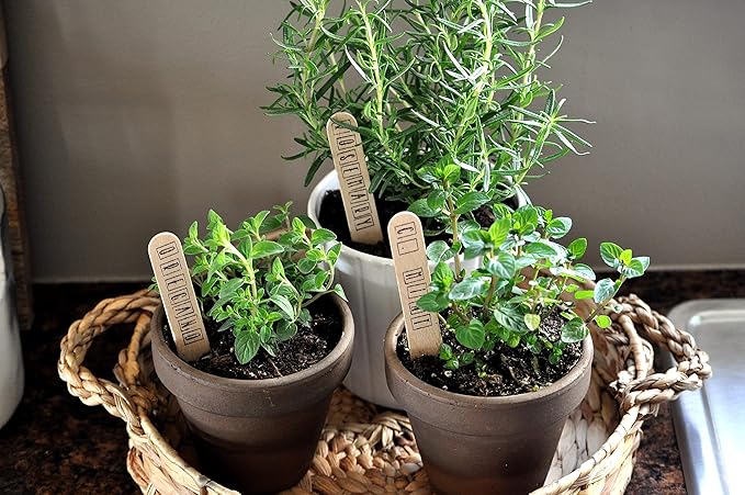 Organic Potting Soil Mix for All Indoor & Outdoor Small Containers Including Herbs, Vegetables, and Flowers 1 qt