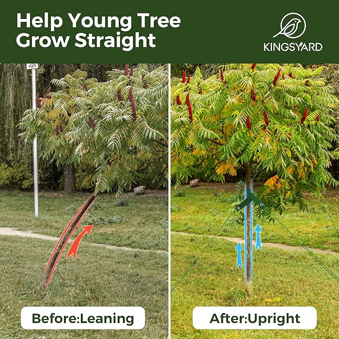 Kingsyard Tree Stakes and Supports for Leaning Trees, 3 Pcs 16 Inch Heavy Duty Spiral Tree Stake Kit for Young Trees Straightening with 3pcs Trees Straps & 3pcs 13ft Anchor Ropes, Anti Strong Wind