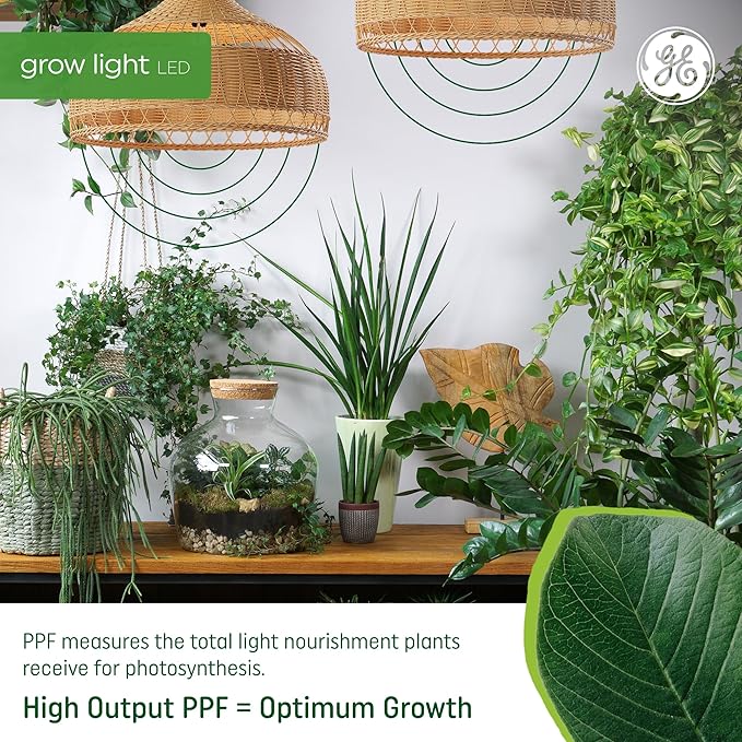 GE Grow Lights for Indoor Plants, BR30 Indoor Floodlight, LED Light Bulbs for Seeds and Greens, Balanced Light Spectrum, 25,000 Hours Lifespan, 16 PPF, 4 Pack (Packaging May Vary)